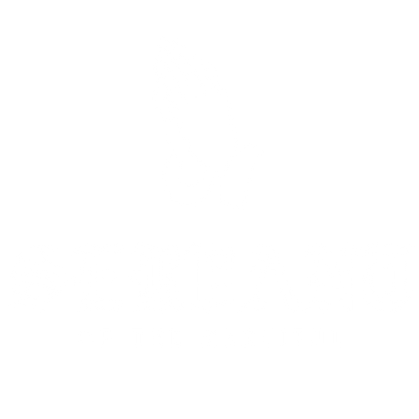 SERVANT OF THE MERCIFUL